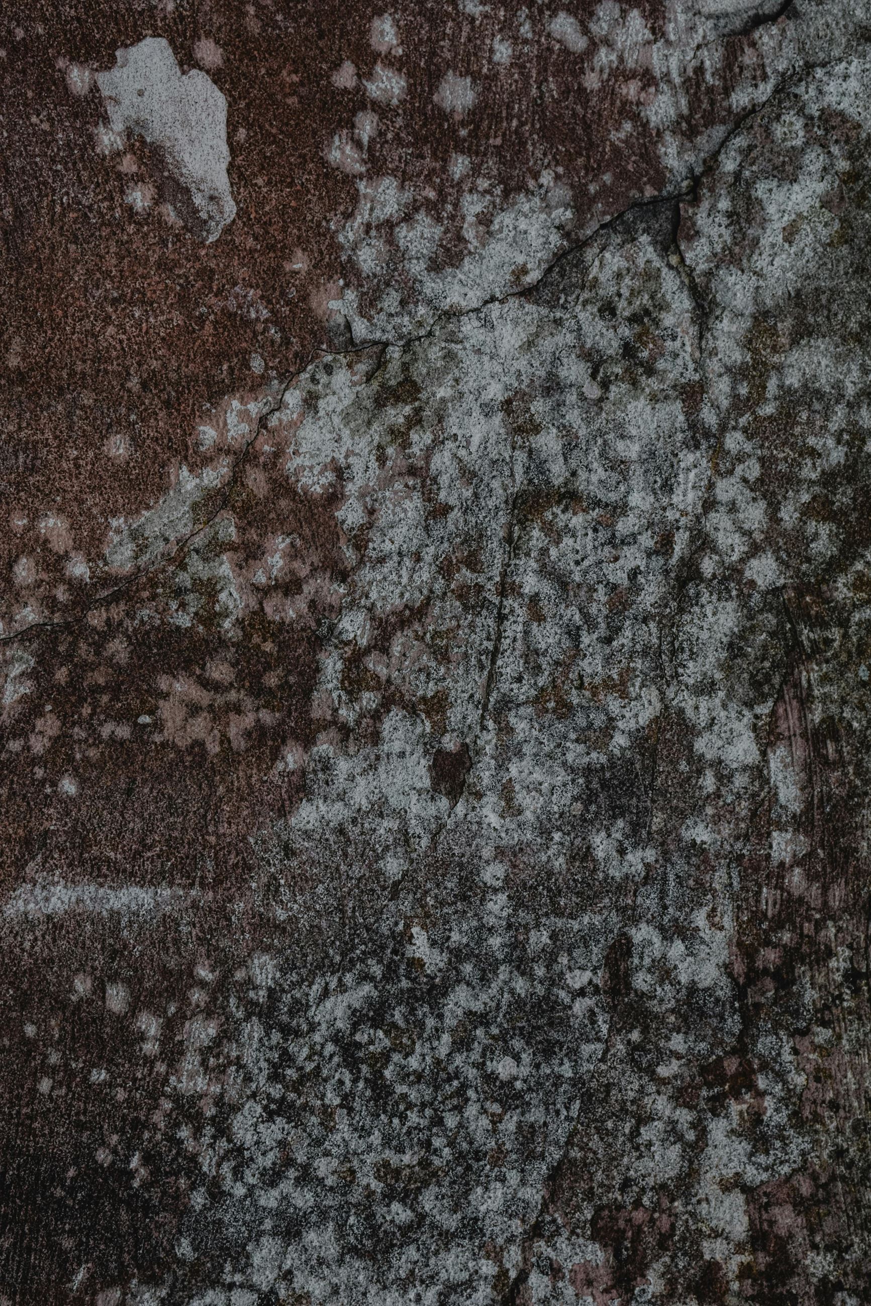 Close-up view of mold.